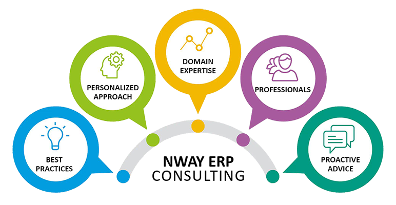 Business Process Consultation - NWAY ERP